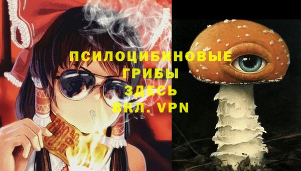 стаф Нефтегорск