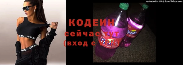 стаф Нефтегорск