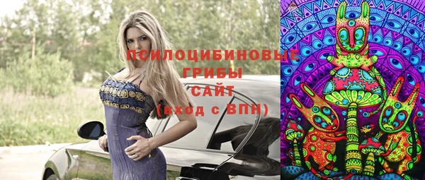 стаф Нефтегорск