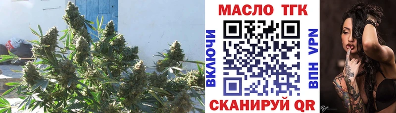 купить наркоту  Буинск  ТГК вейп 